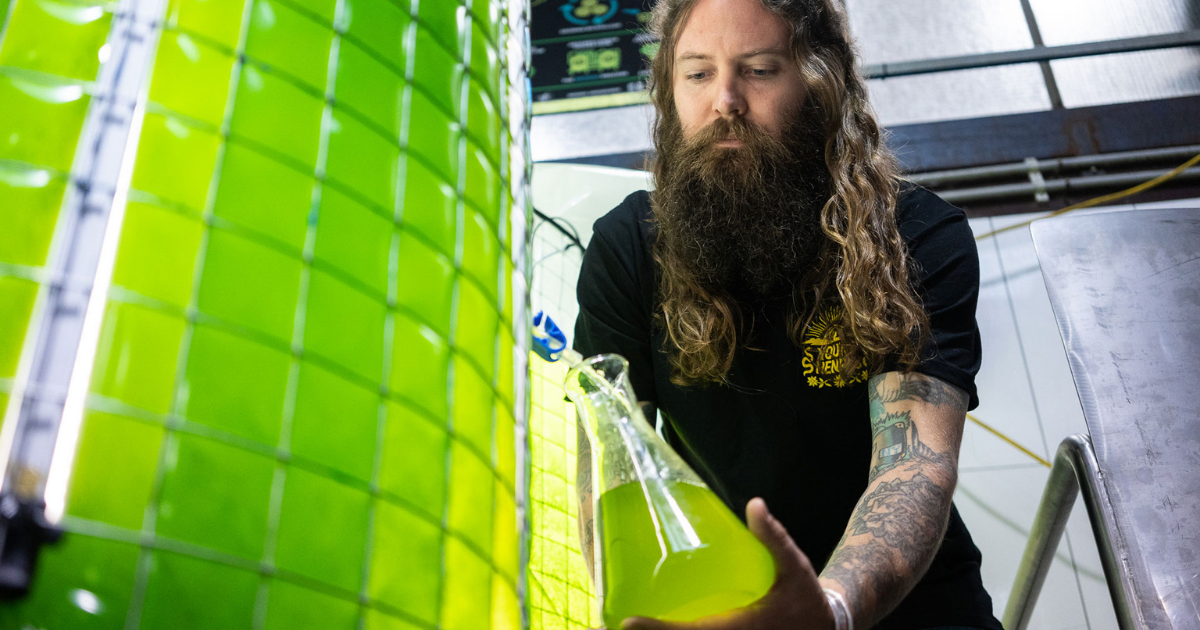 Drink beer and fix the planet